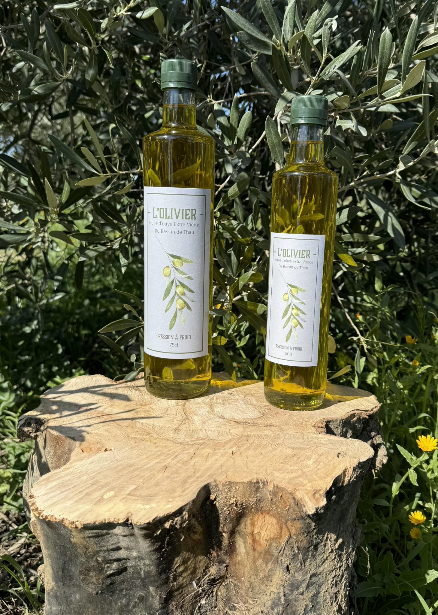 Bouteilles d'huile d'olive L'Olivier du Bassin de Thau